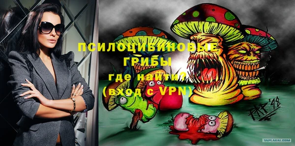 прущий лед Алексин