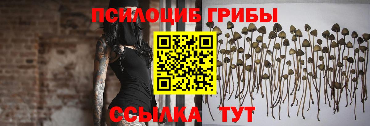 Псилоцибиновые грибы Psilocybe  Вход с VPN  Галлюциногенные грибы Magic Shrooms  Тобольск 